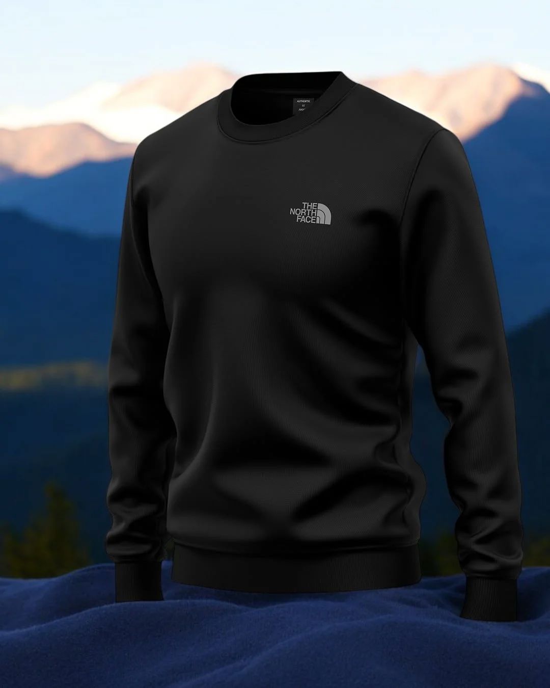 TNF™ Sweatshirt for Men (Sale)