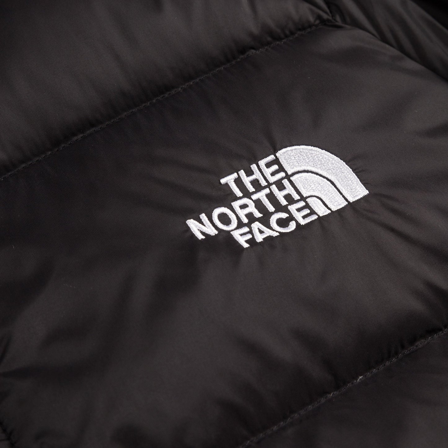 The North Face Hydrenalite Down Jacket