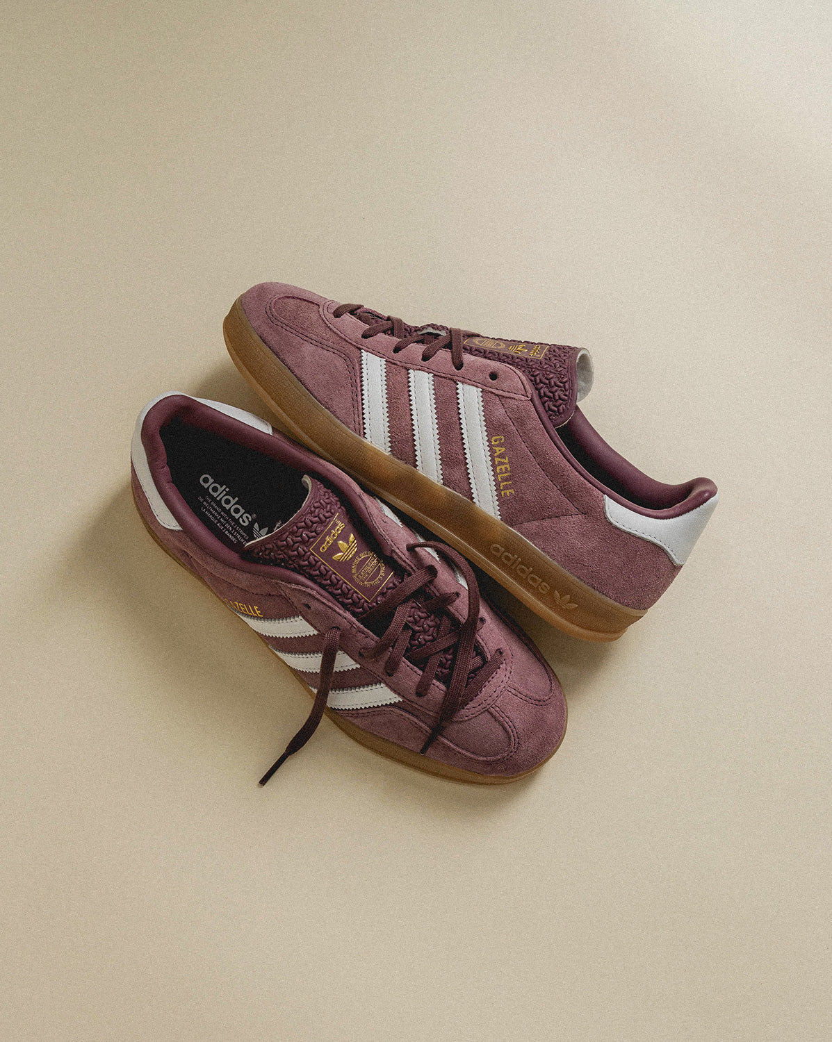 Adidas Gazelle Indoor Shadow Fig